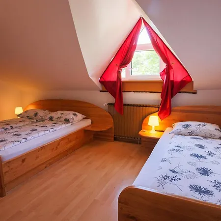 Farm stay Domacija Malnarjevi Villa Slavina