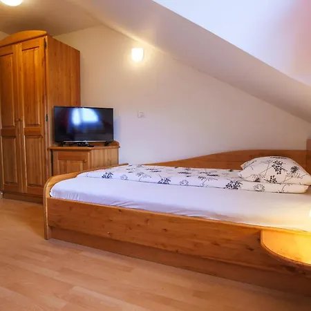 Farm stay Domacija Malnarjevi Villa Slavina