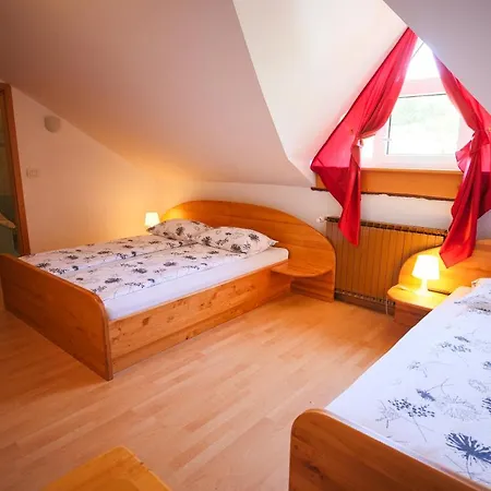 Domacija Malnarjevi Farm stay