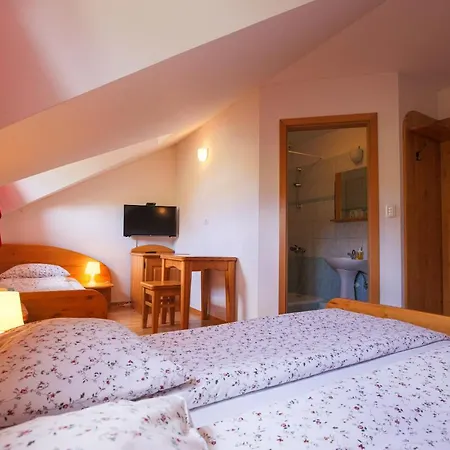 Farm stay Domacija Malnarjevi Villa Slavina