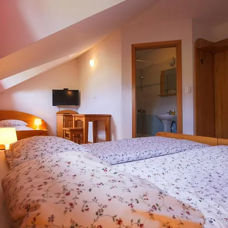 Domacija Malnarjevi Villa Slavina