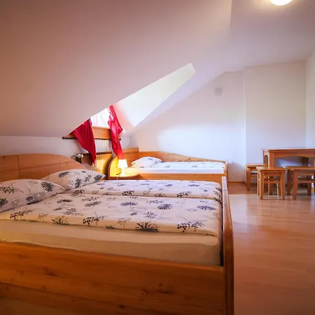 Domacija Malnarjevi Farm stay