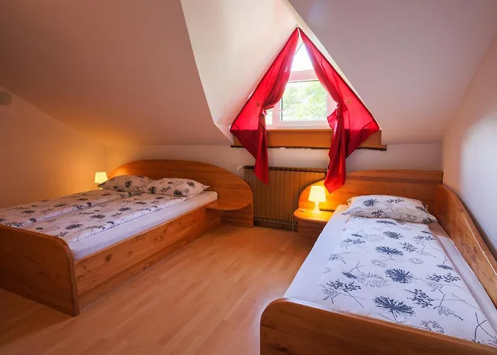 Agroturismo Domacija Malnarjevi Villa Slavina