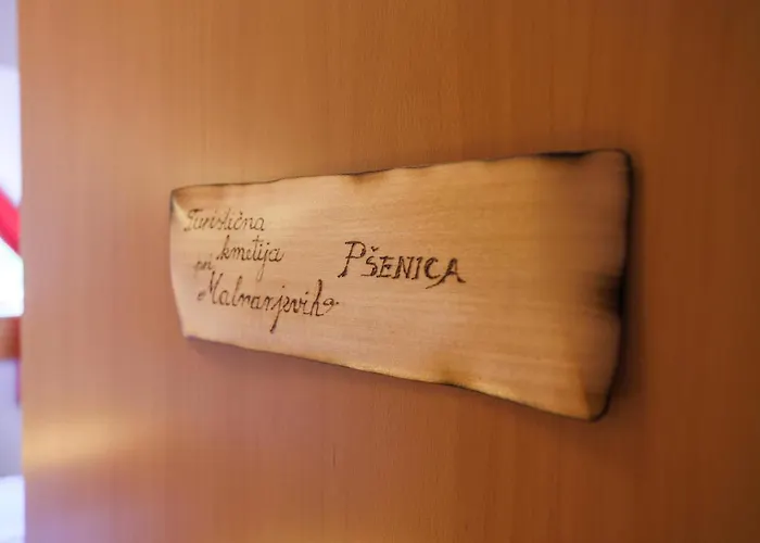 Domacija Malnarjevi Alloggio per agriturismo Villa Slavina