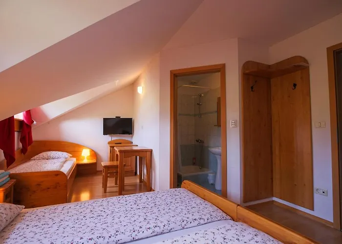 Alloggio per agriturismo Domacija Malnarjevi *