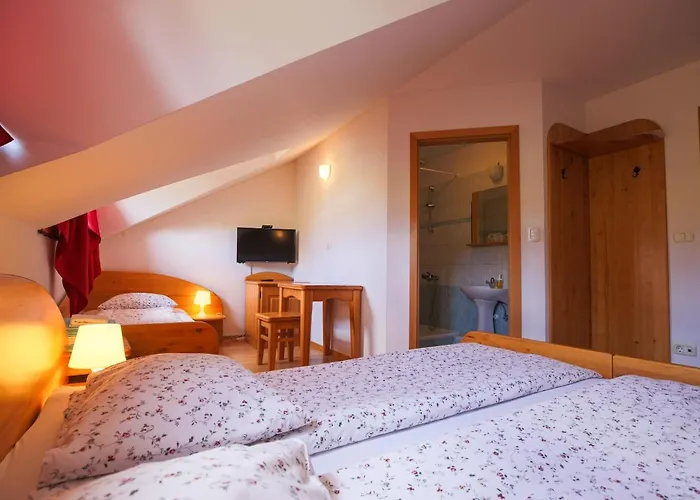 Alloggio per agriturismo Domacija Malnarjevi Villa Slavina