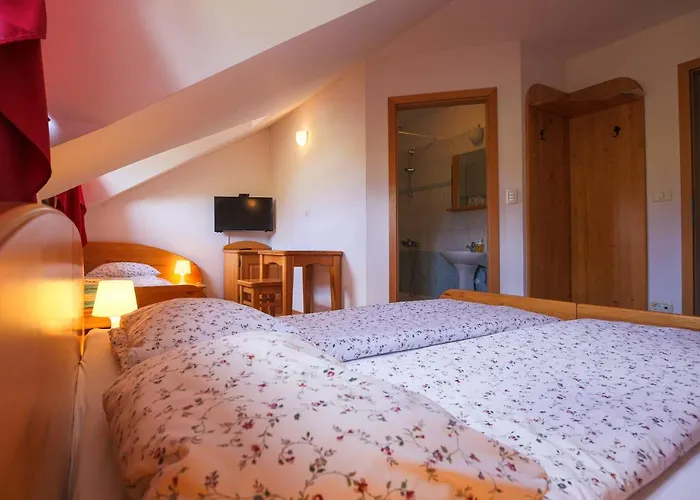 Domacija Malnarjevi Villa Slavina