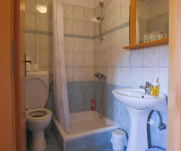 Domacija Malnarjevi مزرعة للإقامة Villa Slavina