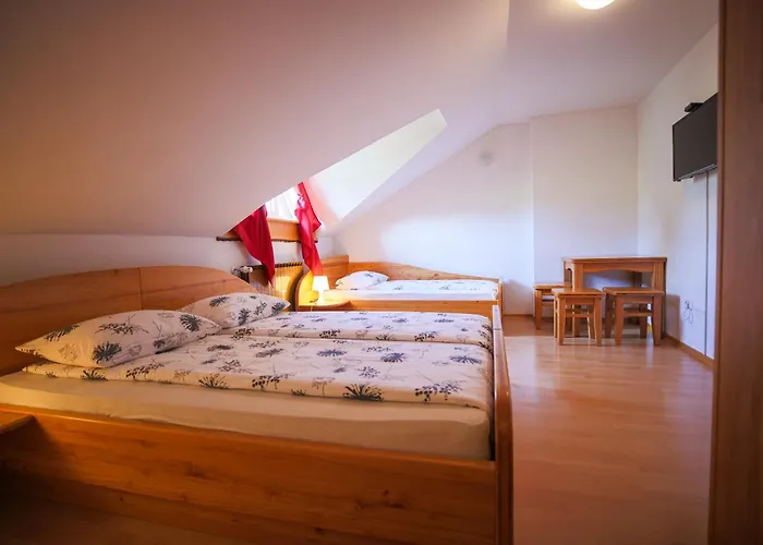 Domacija Malnarjevi Alloggio per agriturismo