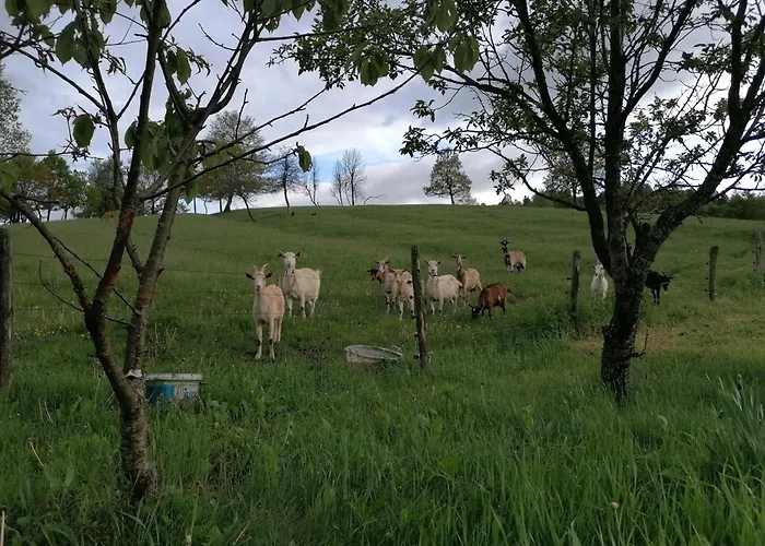 Domacija Malnarjevi *