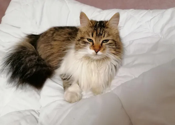 Domacija Malnarjevi Villa Slavina